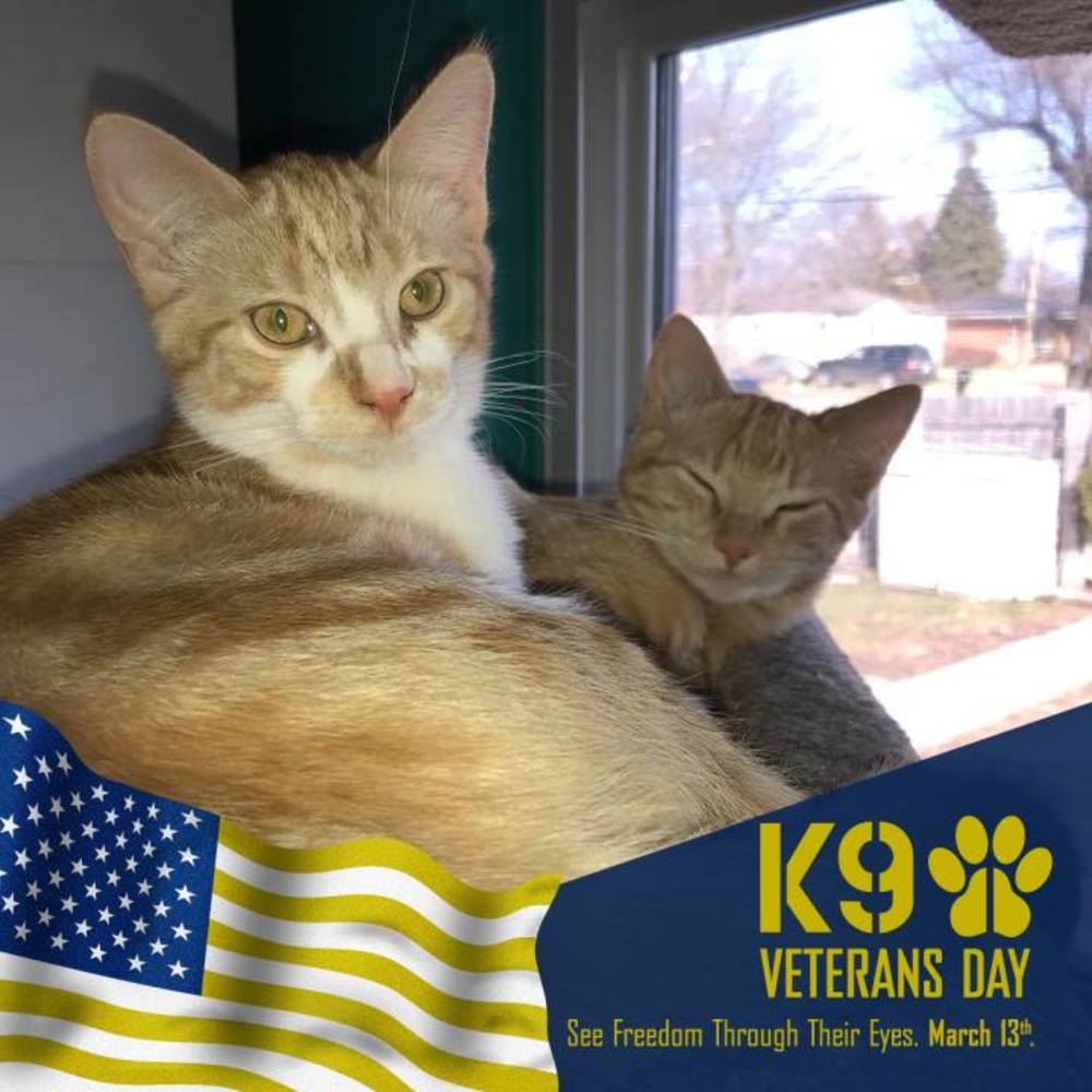 Meet your Posher, Lori